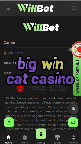 Big Win Cat Casino - Feline-Themed Slot Jackpots-casinoorder.vip