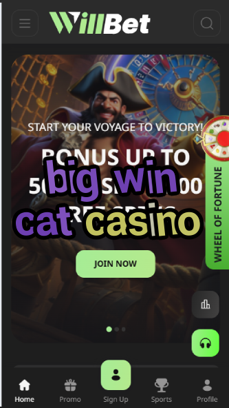 Big Win Cat Casino - Feline-Themed Slot Jackpots-casinoorder.vip